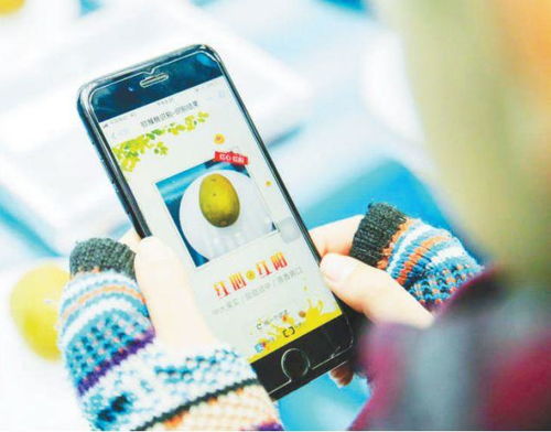 智慧大腦賦能民生 人工智能應(yīng)用軟件的開(kāi)發(fā)與生活體驗(yàn)提升